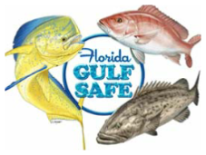 Florida Gulf Safe