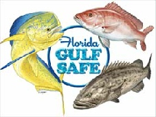 Florida Gulf Safe